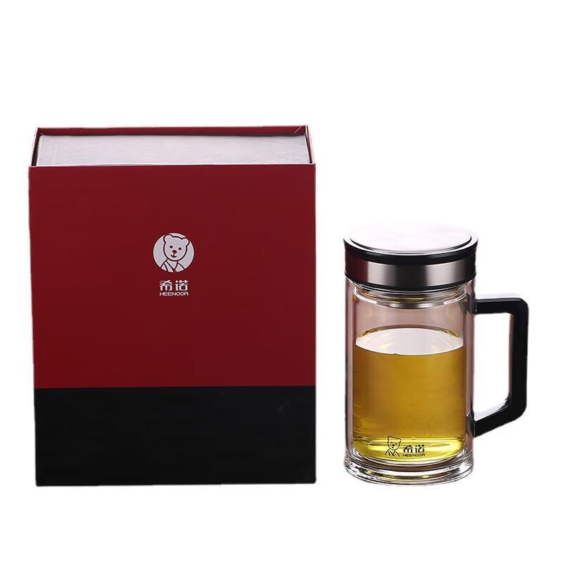 Zhishi Double Wall Glass Tea Infuser Bottle with Handle