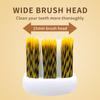 Kingubznis Gold Toothbrush Luxury Gold Silver Teeth Brush Men Women Adult Toothbrushes New Electroplated Dental Brushes