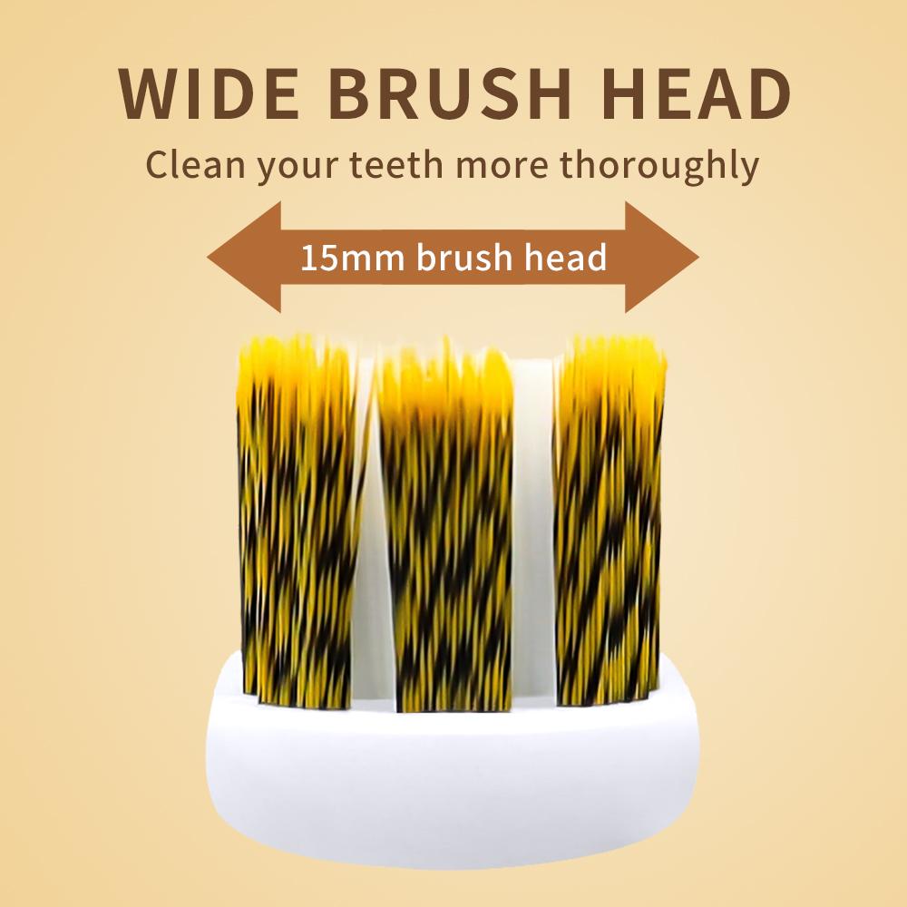 Kingubznis Gold Toothbrush Luxury Gold Silver Teeth Brush Men Women Adult Toothbrushes New Electroplated Dental Brushes