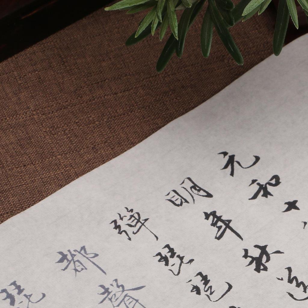 Chen Guozhao Cursive Calligraphy Practice Book: Red Outlined Xuan Paper with Brush for Beginners