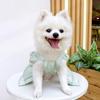 Pet Wedding Dress Dress Bow Skirt Dog Cat Clothing Pull Teddy Bears Spring/Summer Puppy Clothes Dog Clothes for Small Dogs