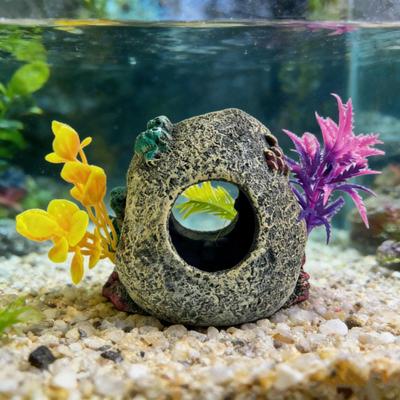 Fische & Meerestiere – Aquarien-Einrichtung