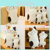 Cartoon Threecolor Cat Plush Toy Pillow For Children Bedroom And Napping