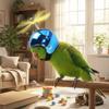 Waterproof Pet Parrot Safety Helmet with Propeller Chicken Protective Hat Bicycle Riding