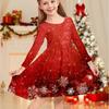 Girl Casual 3D Snowflake Print Round Neck Long Sleeve Dress Kid Princess Dress
