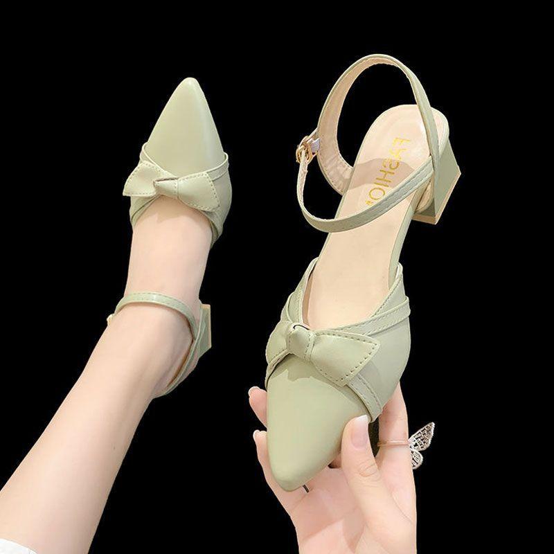 Baotou Sandals Women's Spring 2025 New Lady with Skirt Fairy Wind Medium Heel Thick Heel Pointed Single Shoes High Heel