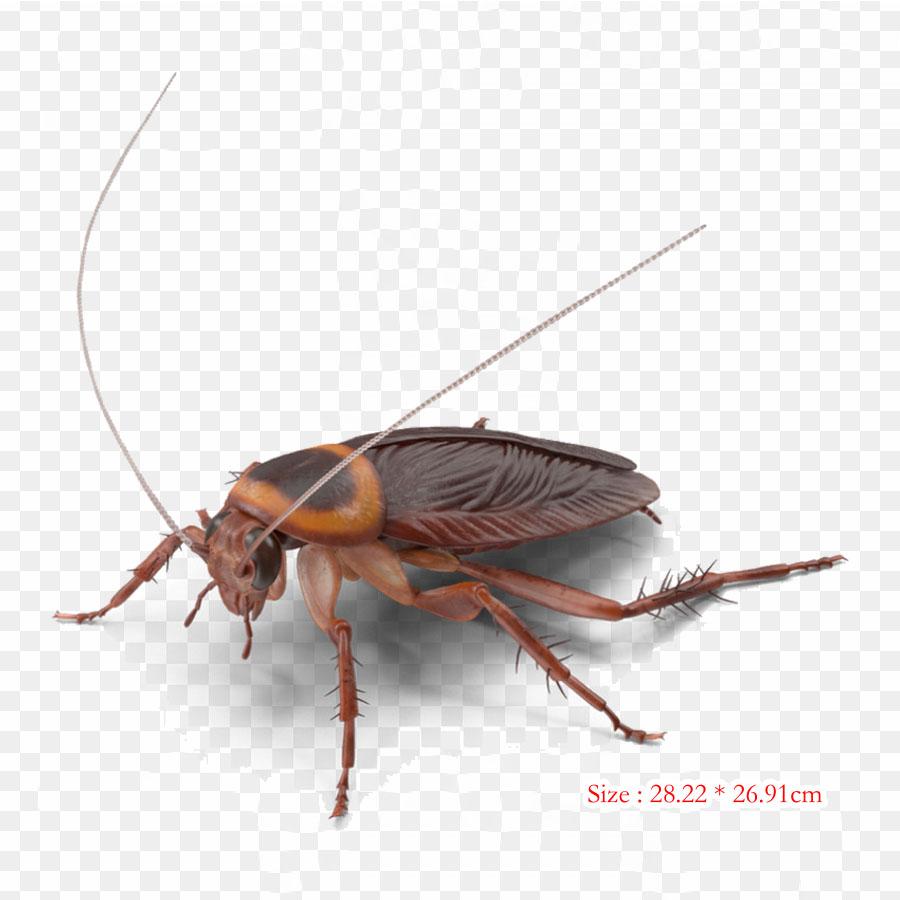 

Рисунок таракана, насекомое-таракан, термопечать, виниловые нашивки, наклейки для одежды, аппликации «сделай сам», моющиеся нашивки