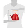 Pearl Metal Crevia Enamel Kettle 2.5L Red