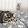 Soft Cat Bed Mats Short Plush Pet Sleeping Bed Mats for Cats Small Dogs Cute Pet Pad Blanket Warm Kitten Cushion Cat Accessories