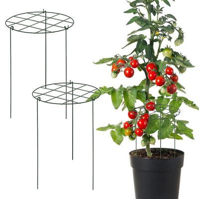 Plant Trellis Indoor Stable 3 Pieces Iron Plant Support Multifunctional Garden Supplies For Potted Planter Propagation Raised