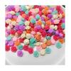 10-Color Resin Flatback Charms for Phone Bag Shoes 14mm Peony Flower Ornament Resin Crafts