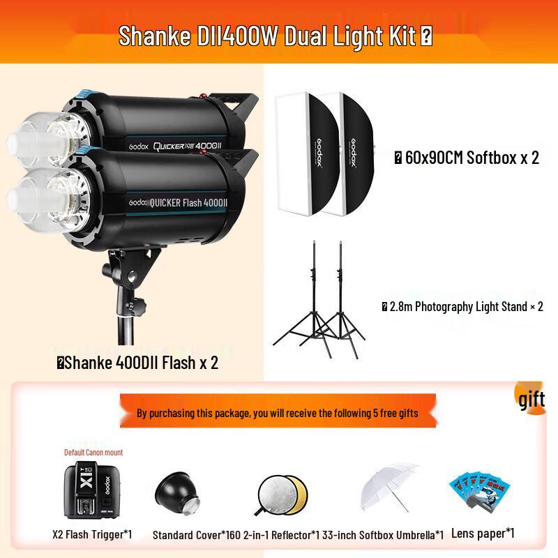 Godox DII-400W Studio Flash Two-Light Kit with 60x90cm Softboxes