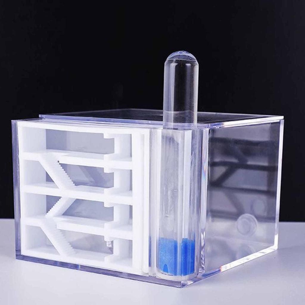 ANT Farm Toys Easy to Assemble Learning Science Educational Workshop DIY ANT House for Birthday Home Children's Day Decor Gift