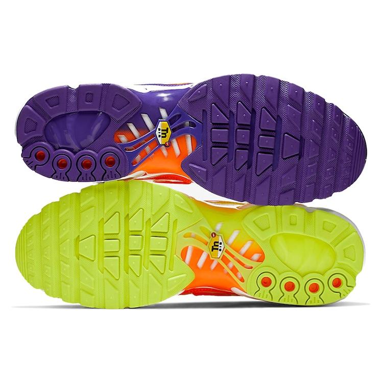 Nike Air Max Plus 'Color Flip' Herren CI5924-531
