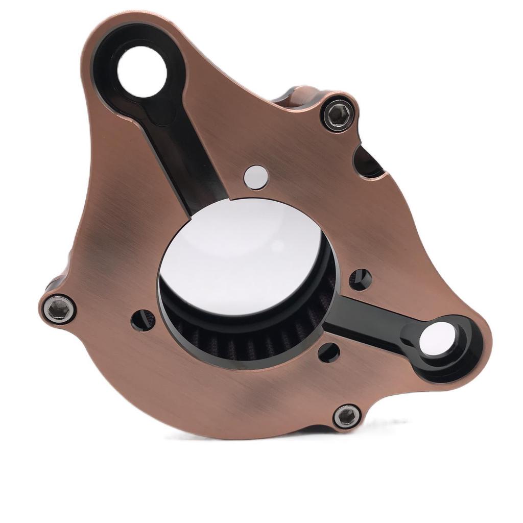 Harley XL883/1200 X48 Transparent Antique Bronze Air Filter