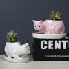 Cartoon Animal Succulent Flower Pot Creative Desktop Plant Cactus Ceramic Flower Pot With Tray