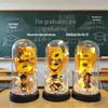Graduation Sunflower Bear Night Light - Classmate Souvenir Ornament
