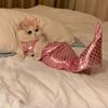 Lovely Puppy Beach Dress Skirt Scale Dress Mermaid Bowknot Beach Outfit Skirt Colorful Costume Pet Outfit Party