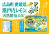 ONPO Bath Refreshing Carbonated 4 Flavors Flavors X 3 12 Additives, Bath, Lemon, [4 Tablets, Tablets]
