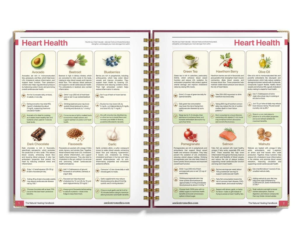 The Natural Healing Handbook - Simple Recipes and Remedies For Every Condition