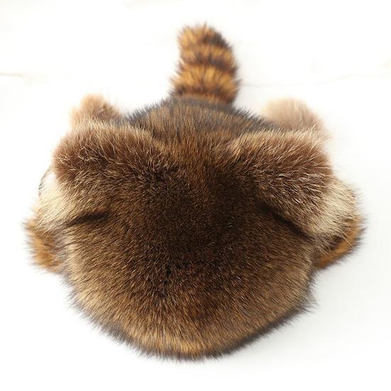 Raccoon Plush Hat with Ears Tail Design Windproof Thickened Winter Warm Plush Ear Protection Hat for Kid Adult