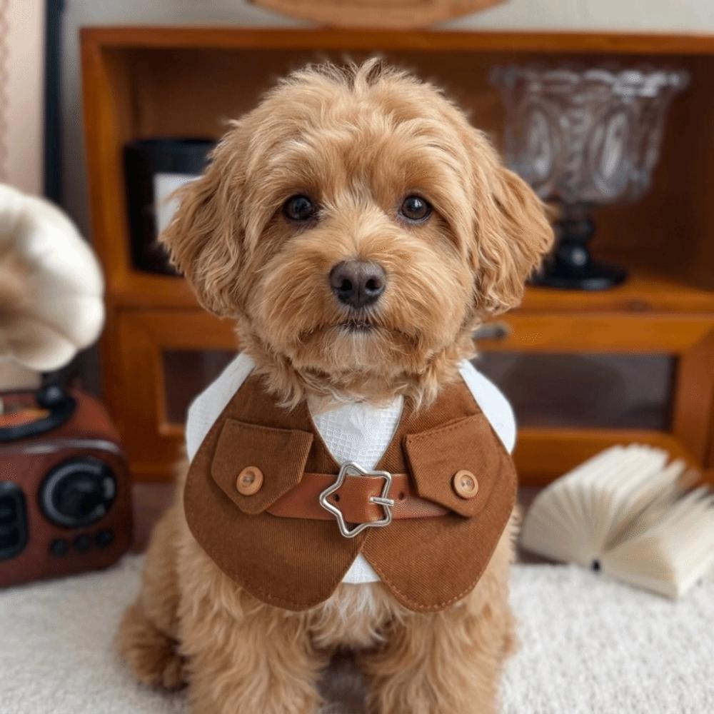 Dress-Up Puppy Vest Set Retro Pet Outfits Funny Dog Cowboy Costumes Cat