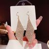 Iced Out Tassel Earrings for Women Sparkle Dangle Statement Earrings Luxury Look Elegant Ethereal Jewelry