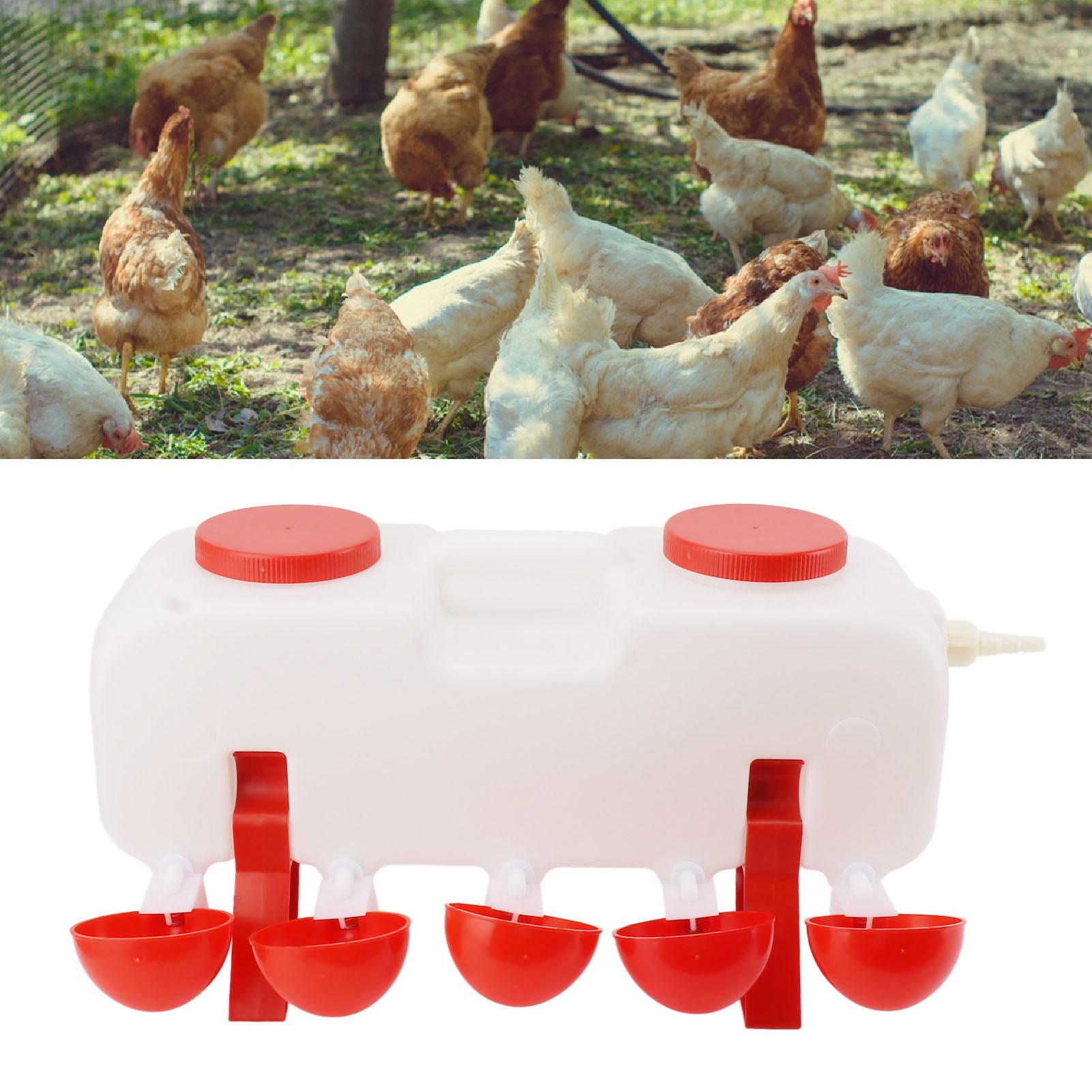 

Automatic chicken waterer, double row design, 10 L capacity, 10 automatic bowls, water control , clean ditch, suitable for goose