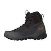 Arcteryx Women Fw26 Conceal Trek Boots Afqfw10502