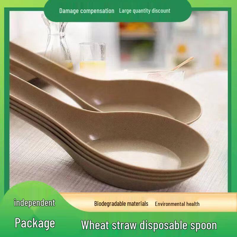 Individually Wrapped Disposable Spoon