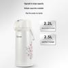 Le Lion Large Capacity Press-Type Vacuum Insulated Thermos Flask Kettle