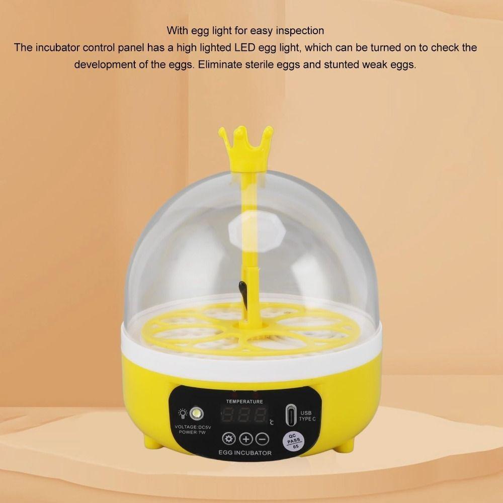 Temperature Humidity Control Mini Egg Incubator  Chicken Duck Pigeon Quail Bird