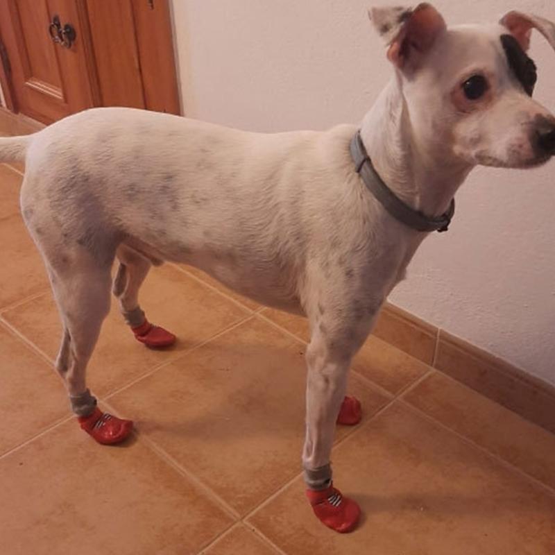 Waterproof Dog Socks For Medium Dogs Non-slip Dog Shoes Pet Dog Socks Pet Outdoor Shoes Anti-dirty Pet Shoes