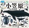 NTC Nature Technicolor Ogasawara Special Edition Complete Set of 6 Capsule Toys