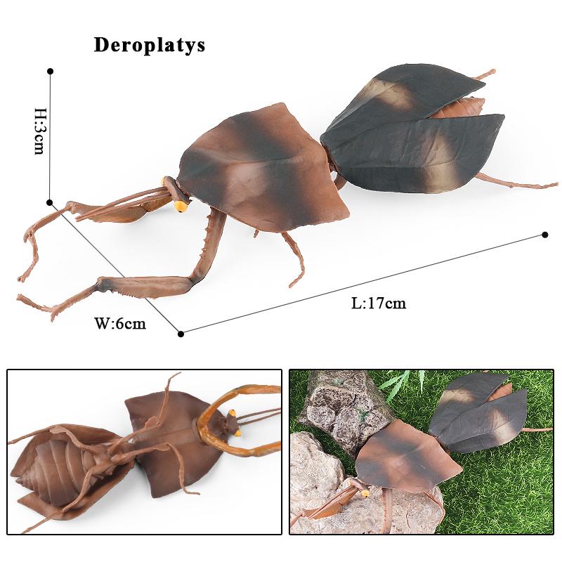 Oenux Wild Insect Animals Model Mantis Grasshopper Butterfly Bee Beetle Action Figures PVC Science Education Collection Kid Toy