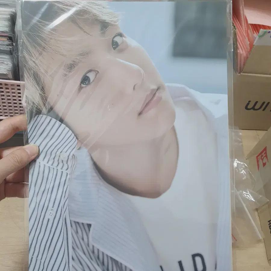 

Exo Flo A4 Printing Pictures