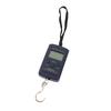 Large LCD Display Electronic Suspension Scale, 40Kg/10g Capacity Portable with Hook for Luggage