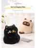 Pipi Pouting Cute Big Eyes Calico Cat Plush Pillow - Realistic Siamese Cat Ornament Cushion Birthday Gift.