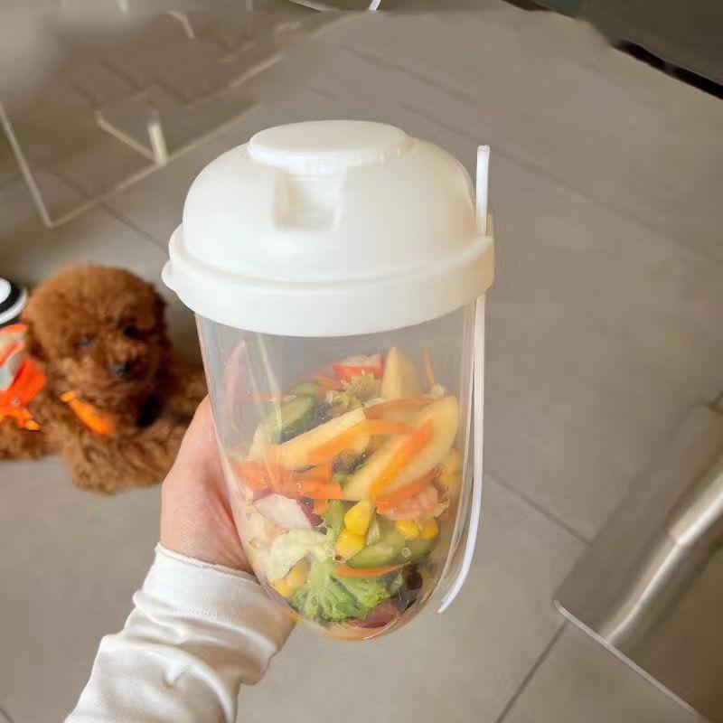 Úložný box na potraviny Snídaňová ovesná kaše Cereálie Ořech Jogurt Salátová miska Uzavíratelná sada nádob s vidličkou Kelímek na omáčku Víko Bento Nádoba na jídlo