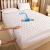 Waterproof Mattress Protector, Thick Quilted Solid Color Bed Cover with Deep Pocket,Warm Breathable Bedding for Bedroom Room Hotel, Without Pillowcase