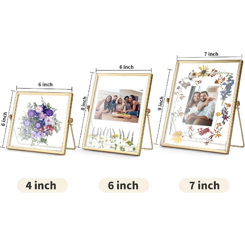 Gold Picture Frame Set - /w 68 Pcs Dried Flowers and Tweezer - Double Glass Frame for Pressed Flowers, Pressed Flower Frames for Handicrafts, Photo