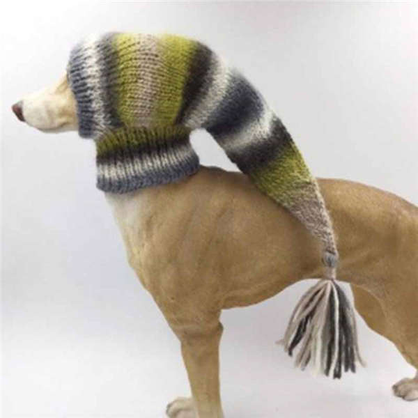 Moda Cane Animali Domestici Copricapo Primavera Autunno Inverno Maglione  Cappelli Mantenere Caldo Divertente Stampa Carino Collo Lungo Pet Copricapo  acquista in modo economico — spedizione gratuita, recensioni reali con foto  — Joom