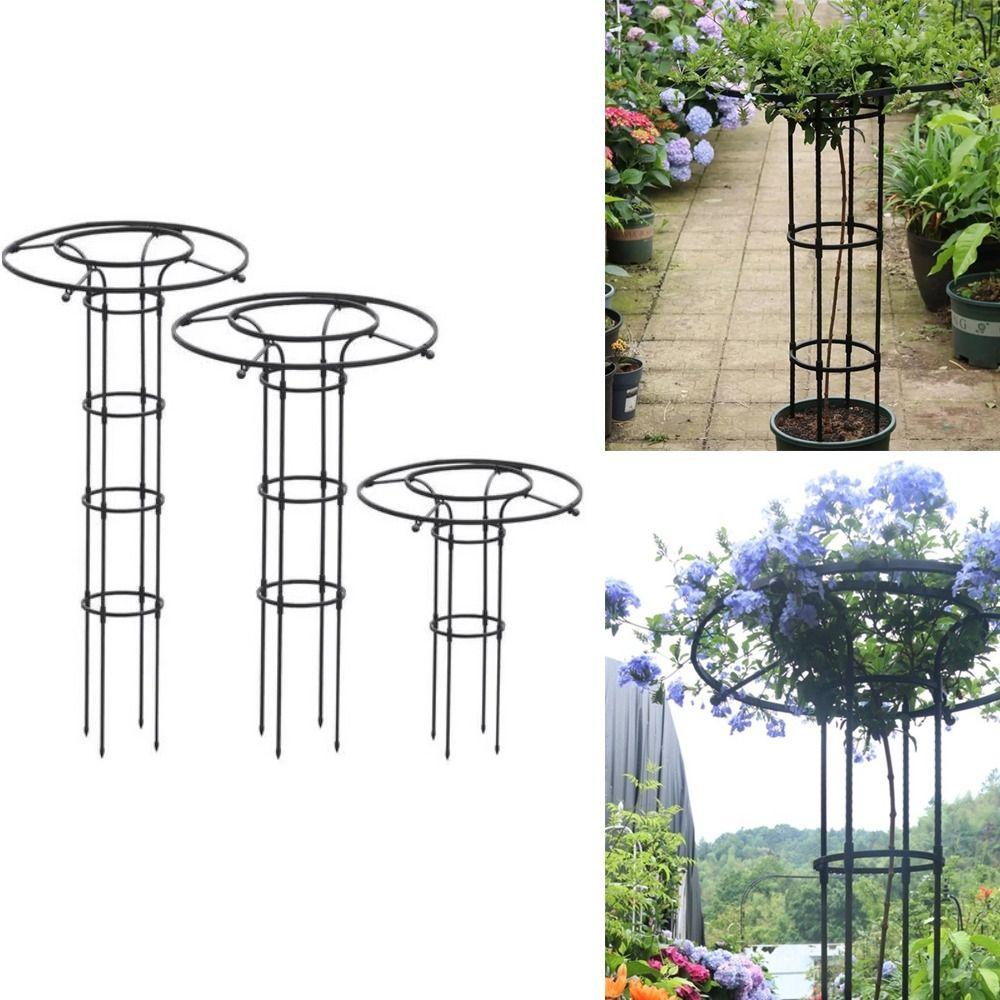 90/120/150cm Climbing Rose Arch DIY Assemble Climbing Plant Support  Vertical Garden Patio Balcony