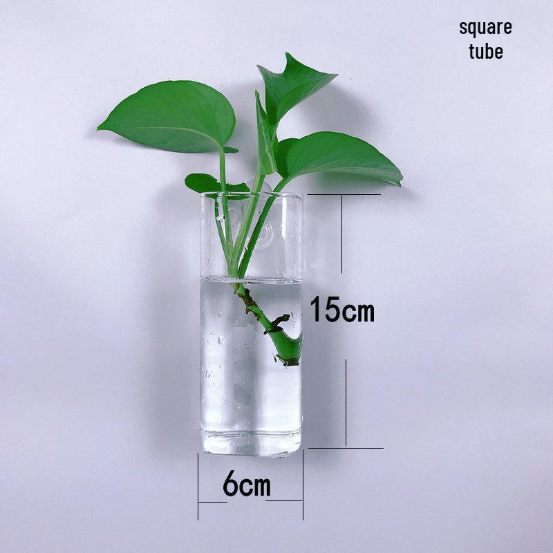 Creative Wall-Mounted Transparent Glass Vase for Plants and Fish