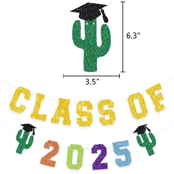 Mexico Class Of 2025 Graduation Banner Fiesta Pom Poms Flowers Paper Tassel Garland Decoration College Grad Party Supplies