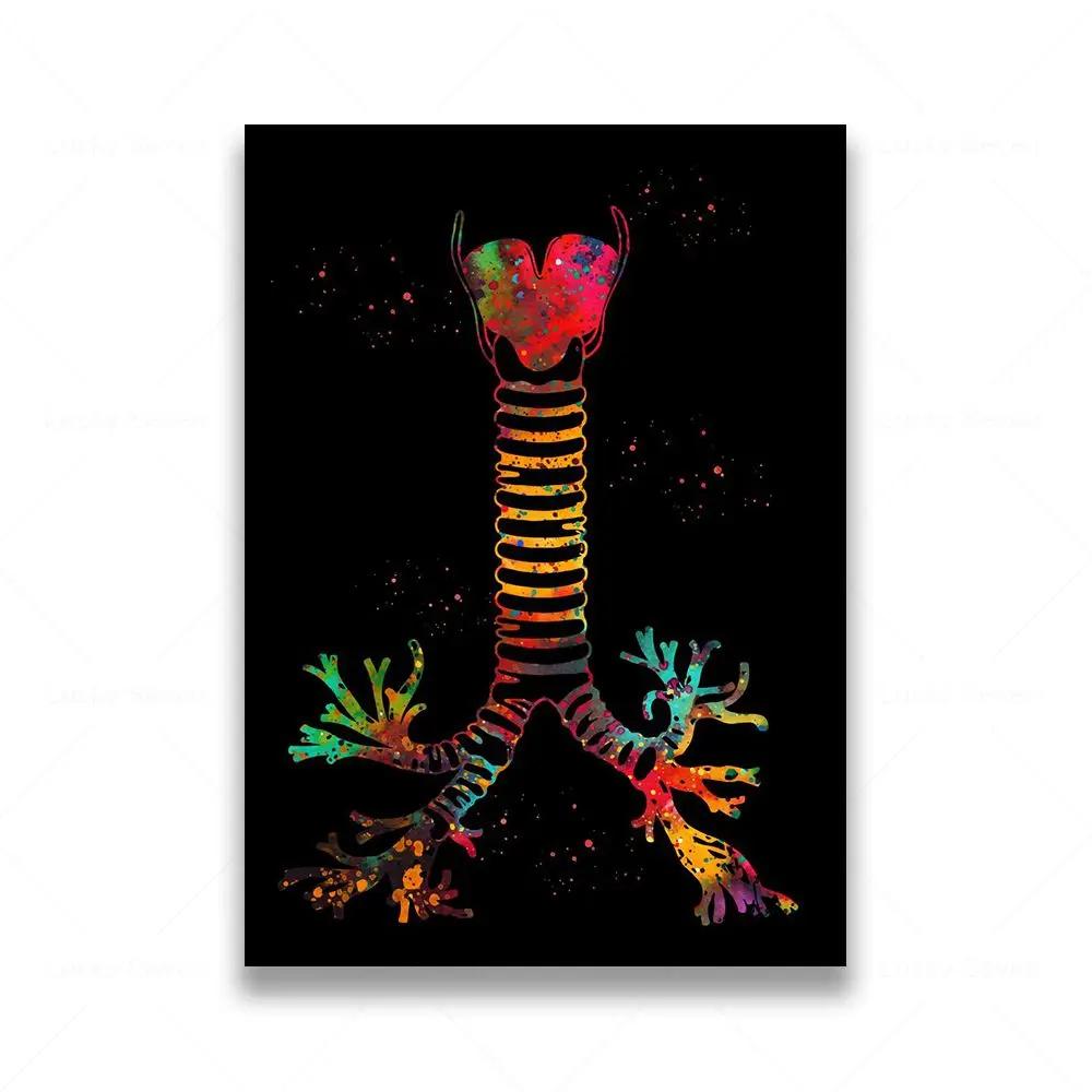 Anatomia Umana Muscoli DNA Neuro Arte Murale Pittura su Tela Poster e Stampe Mappa del Corpo Immagini Murali Educazione Medica Decorazione per la Casa