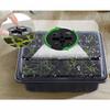 12/6 Hole Seedling Box Rectangular Breathable With Light Seedling Extractor For Vegetable Succulent Horticultural Planting Tray