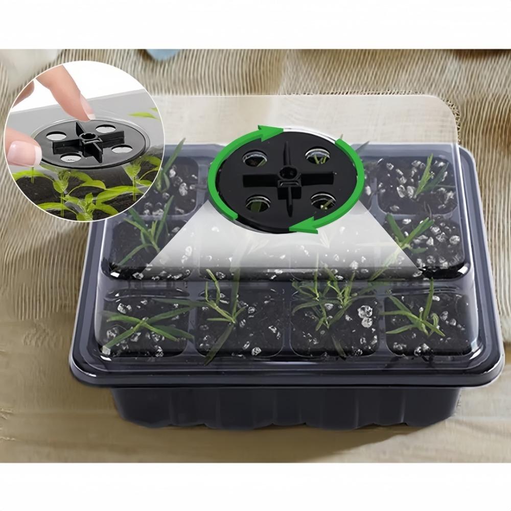 12/6 Hole Seedling Box Rectangular Breathable With Light Seedling Extractor For Vegetable Succulent Horticultural Planting Tray