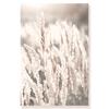 Landscape Flower Picture Canvas Painting Wall Art Autumn Scenery Mountain Lake Grass Poster and Print for Modern Home Wall Decor