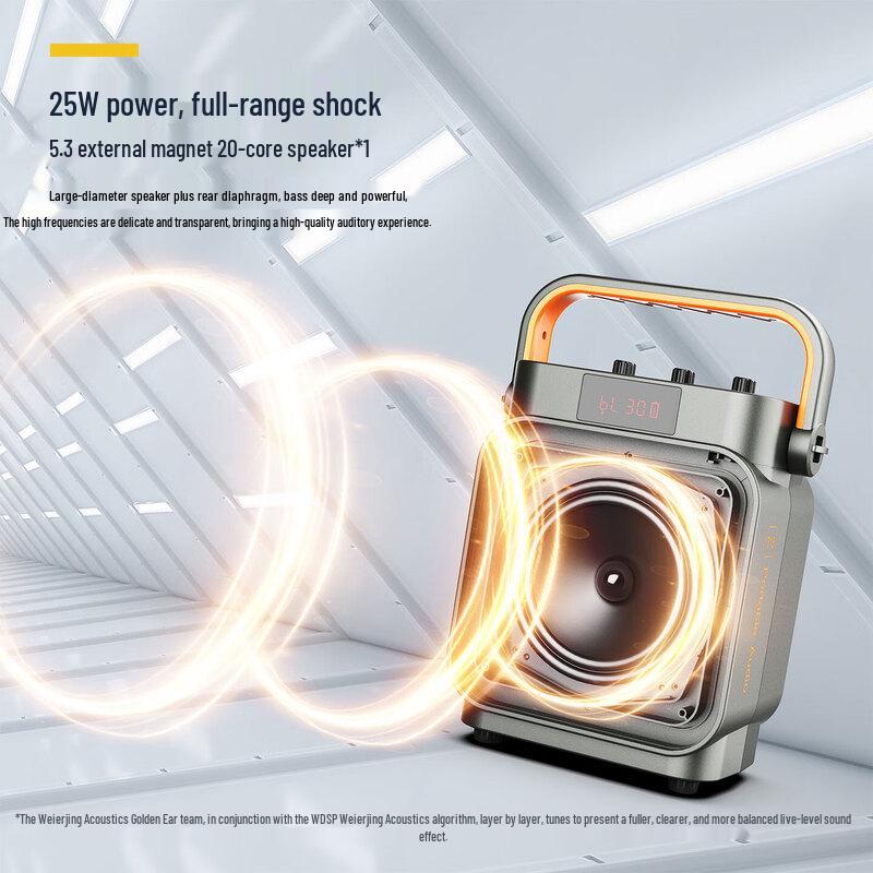 W-King T15 Portable Karaoke & Recording Bluetooth Speaker